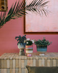 Retro flower pot, Rosefield