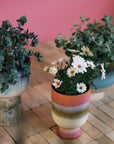 Retro flower pot, Rosefield