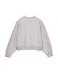 Swan, Grey bright
