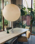Endless dining chair: poodle, golden