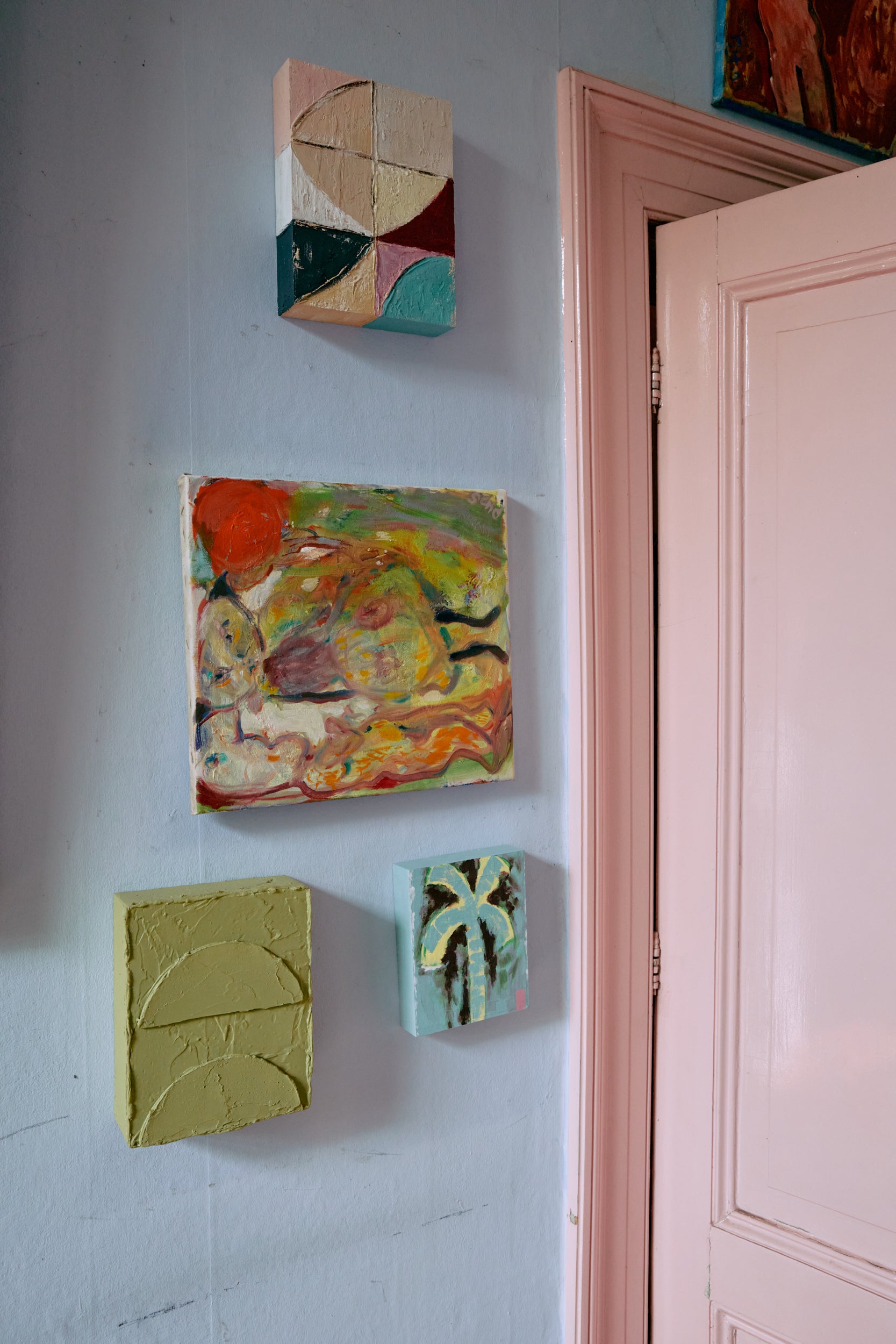 Pocket exhibit: Palmate (16x2x20cm)