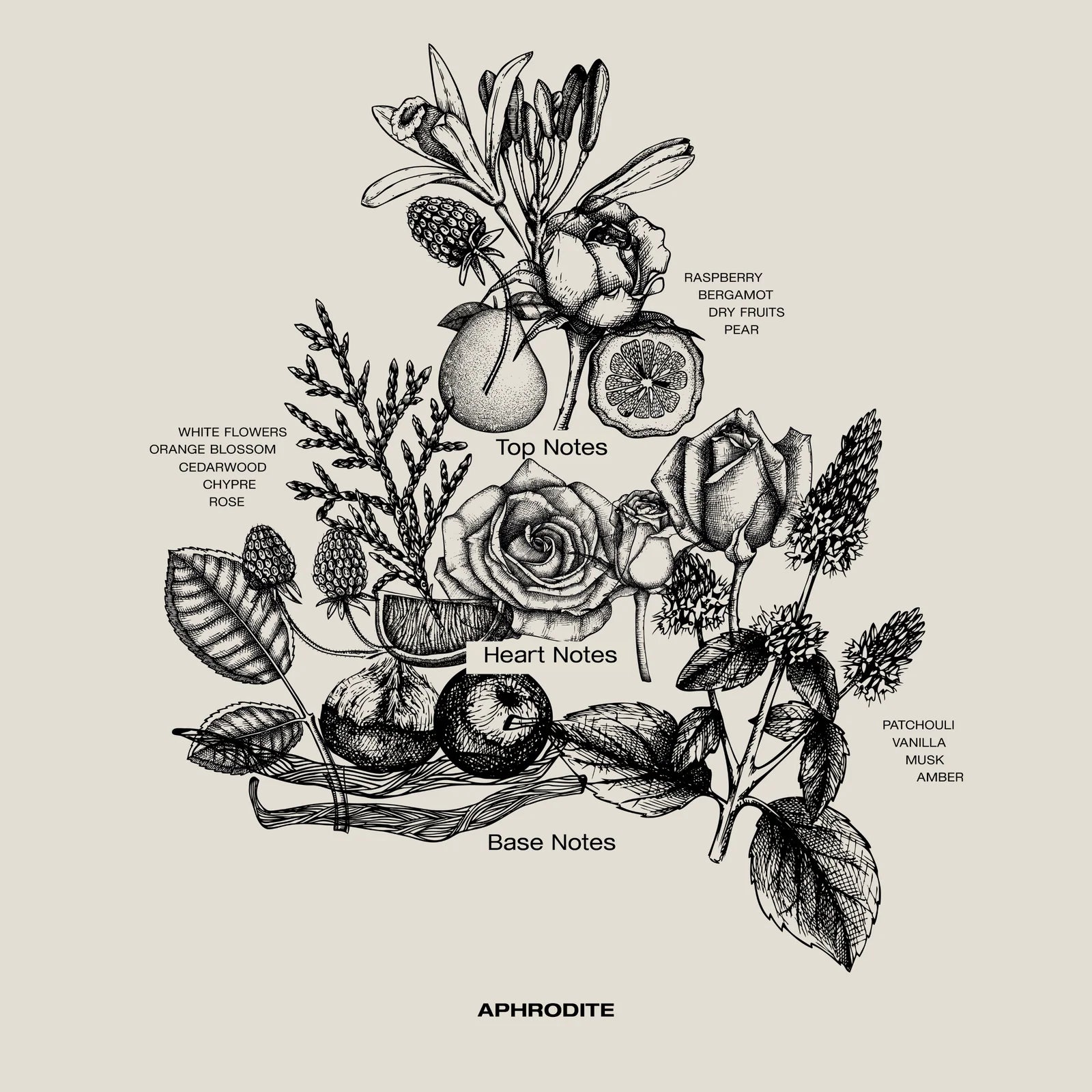 Aphrodite perfumed reeds