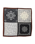 PCPaisley Scarf