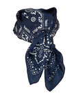 PCPolette Scarf