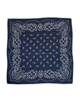 PCPolette Scarf