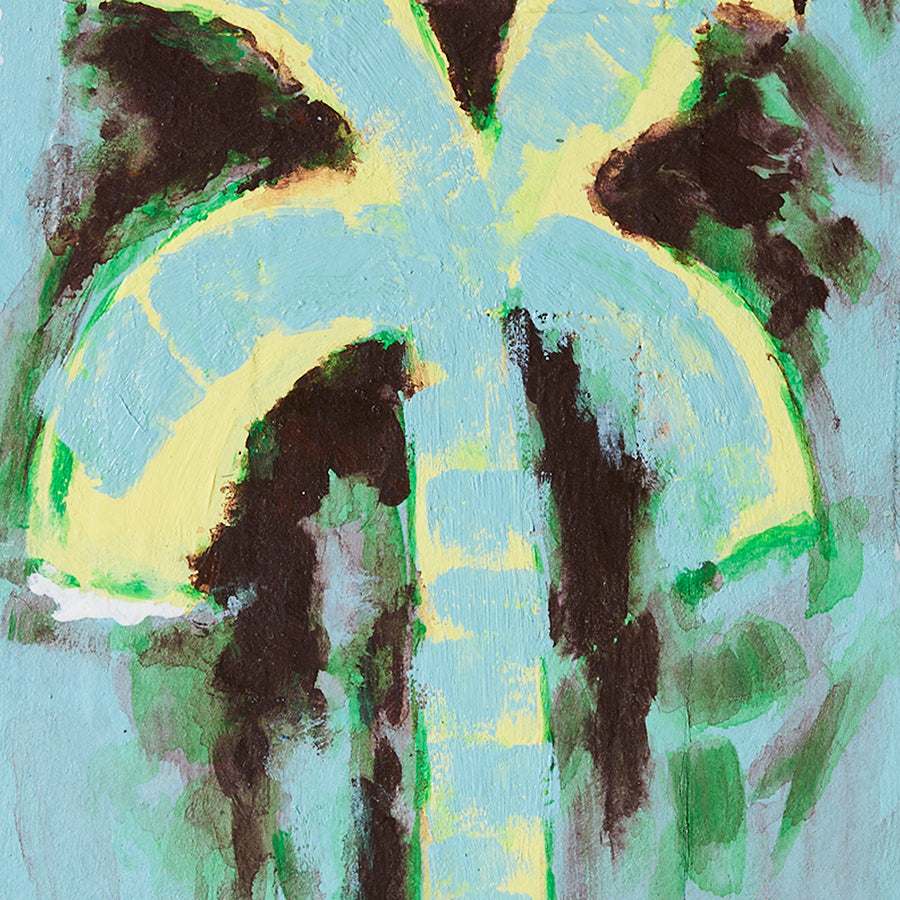Pocket exhibit: Palmate (16x2x20cm)