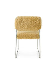 Endless dining chair: poodle, golden