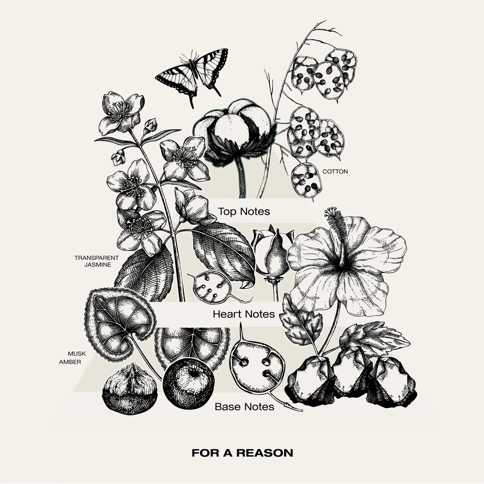 For a reason (aura) eau de parfum - 50 ml