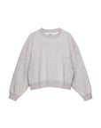 Swan, Grey bright