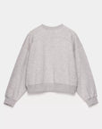Swan, Grey bright
