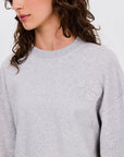 Swan, Grey bright