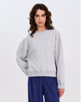 Swan, Grey bright